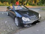 Mercedes-Benz Mercedes CLK 320 CDI  SEHR GUTER ZUSTAND!!! - gebrauchte Mercedes-Benz CLK 320 aus dem Jahr 2008