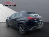 Lexus UX 250h*LAUNCH*SHZ*CD*NAVI* 15J-GARANTIE* - Lexus UX aus 2019