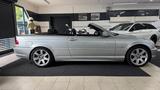 BMW 320i E46*Cabrio*Aut*Hardtop*Leder*TÜV*8fach - BMW 320: 320i E46