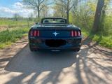 Ford Mustang 3,7l V6 TOP  4Rohr Grail Klappen neu  - Ford Mustang: Cabrio, V6
