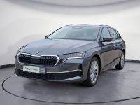Skoda Octavia - Vorschau Bild 2