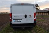 Fiat Ducato - gebrauchte Fiat Ducato aus dem Jahr 2021