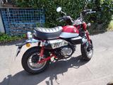 Honda Monkey 125, unfallfrei, Garagenfahrzeug - HONDA KLEINKRAFTRAD
