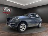 Mercedes-Benz ML 350 ML -Klasse ML 350 CDI BlueTec - Mercedes-Benz ML 350 in Dortmund