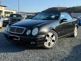 Mercedes-Benz CLK 230 KOMPRESSOR AVANTGARDE - schwarze Mercedes-Benz CLK 230
