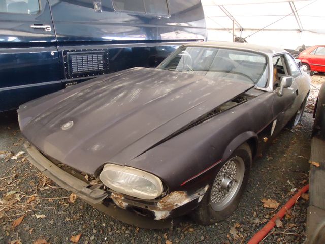 Jaguar XJS