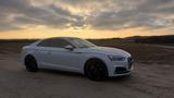 Audi A5 40 TDI S tronic S line B&O Coupé Quattro LED