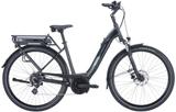Pegasus Solero E8 Plus L (28 Zoll) - Pegasus E-Bikes
