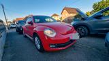 Volkswagen VW New Beetle - Volkswagen New Beetle: Sportwagen