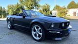 Ford Mustang GT California Special 2007 Pr... - Ford Mustang: Special