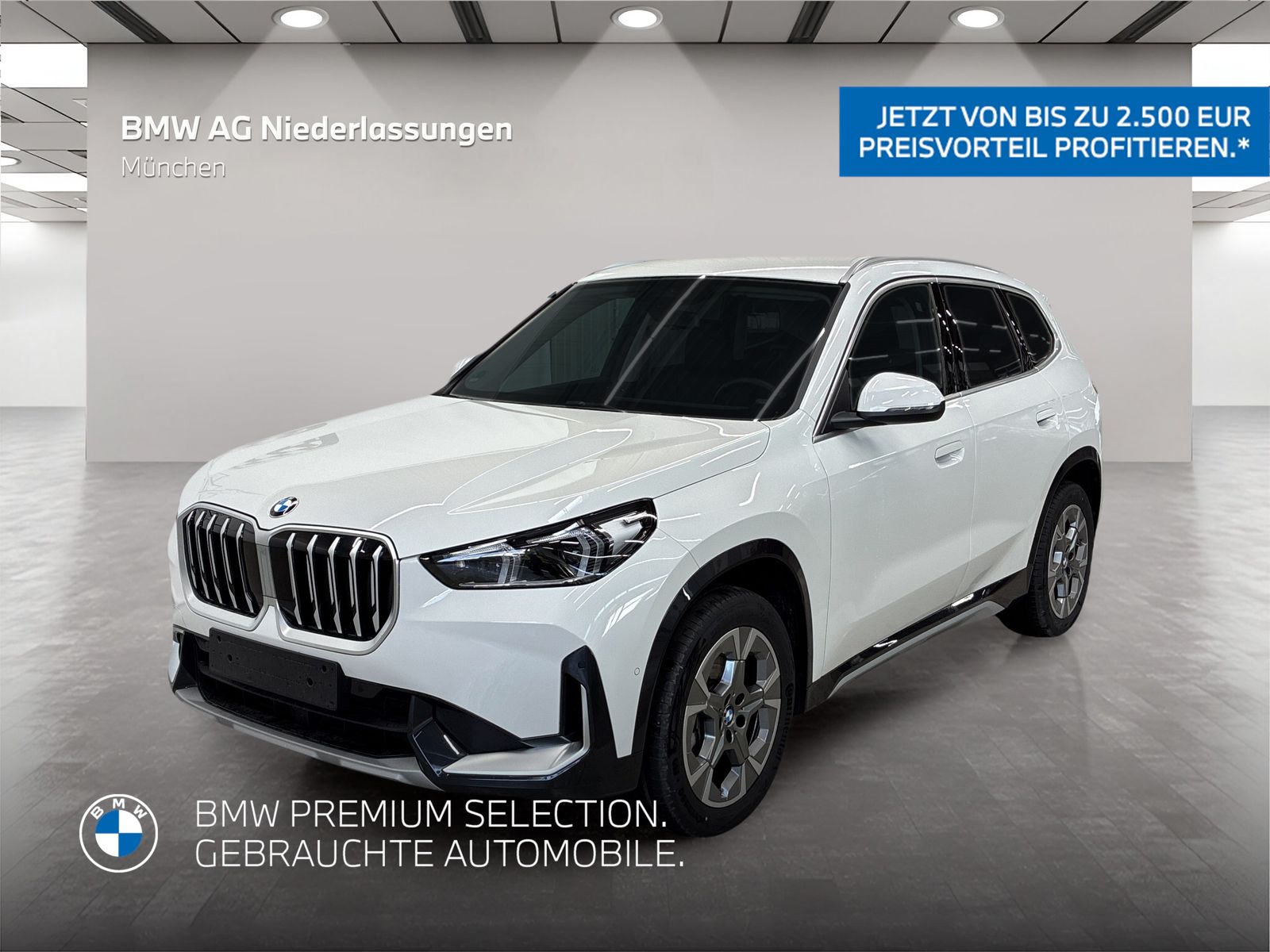 BMW X1 xDrive20d AHK Driv.Assist Harman K Kamera foto 1