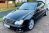 Mercedes-Benz Mercedes CLK W209 AMG , Navi ,Xenon,Automa... - : Clk Mercedes