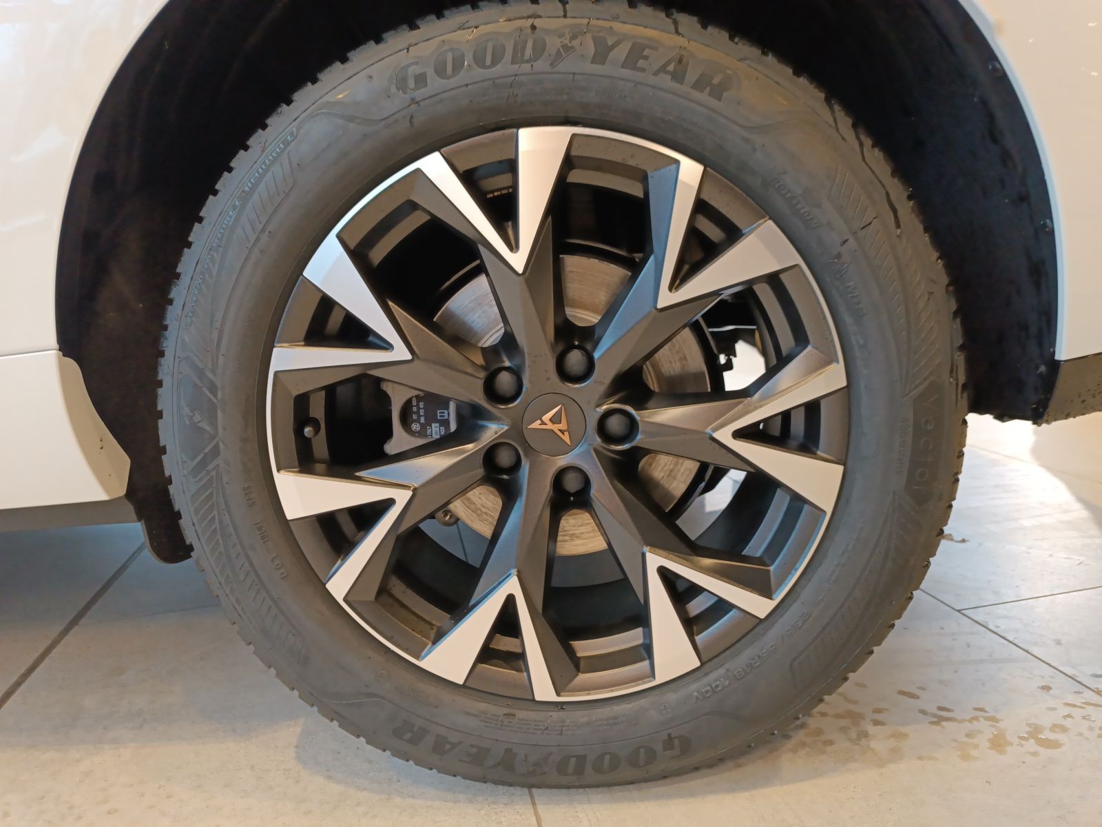 Cupra Terramar - Bild 6