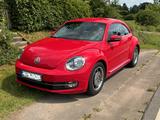 Volkswagen Beetle 1.2 TSI DSG Business Design Klima