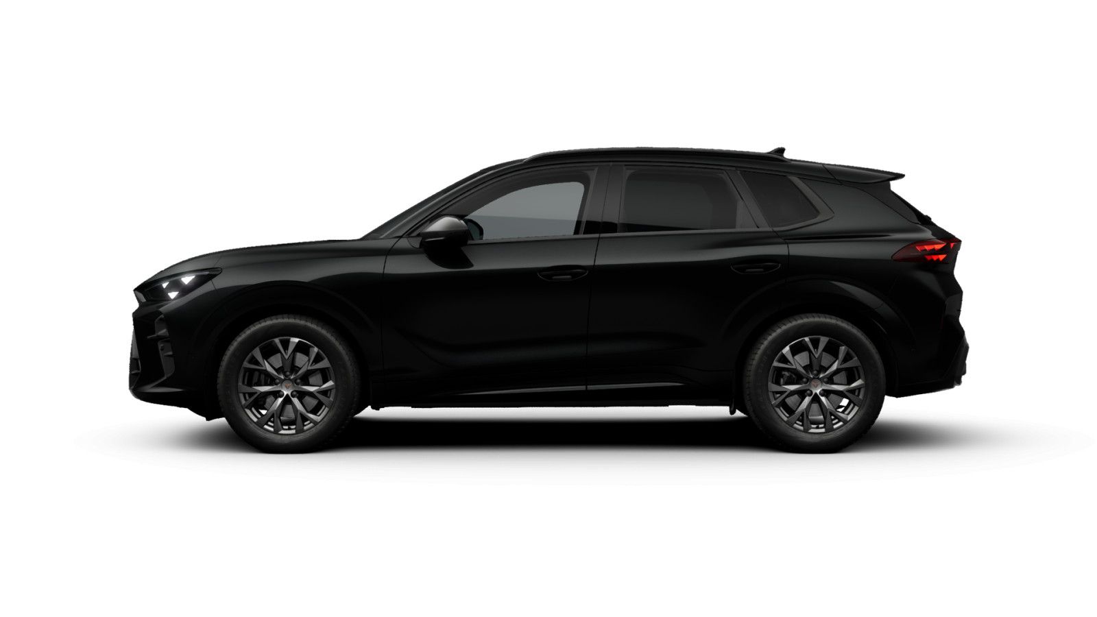 Cupra Terramar - Bild 6