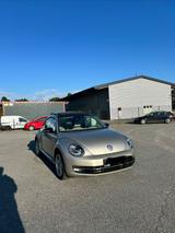 Volkswagen Beetle - Volkswagen New Beetle: Leder