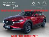Mazda CX-30 SOMMER-DEAL Prime-Line HUD CP/AA RFK LED u - Mazda CX-30 Prime-Line mit Benzin-Antrieb