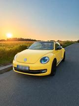 Volkswagen VW Beetle Cabrio 1.4 TSI Sport, Saturngelb... - Volkswagen Beetle in Wuppertal