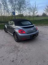 Volkswagen Beetle 2.0 TDI DSG BMT Exclusive Design Cabr... - Volkswagen Beetle: Exclusive Design