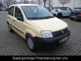 Fiat Panda 1.1 8V Active,SERVO,GARANTIE,1-HAND - Fiat Panda Active mit Benzin-Antrieb