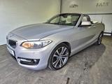 BMW 228i X-Drive Cabrio Luxury Line Automatik Leder - BMW 228 aus 2016