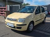 Fiat Panda 1.2 8V Dynamic 1.Hand *Nur70TKM* Klima - Fiat Panda in Ludwigshafen