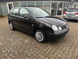 Volkswagen Polo IV Basis - gebrauchte VW Polo aus dem Jahr 2003