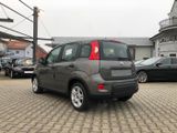 Fiat New Panda 1.0 Hybrid *5 Sitzer Klima Komfort* - Fiat New Panda Tageszulassungen