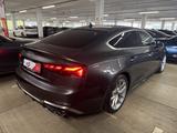 Audi S5 Sportback 3.0 TDI quattro Leder LED Navi RFK - gebrauchte Audi S5 aus dem Jahr 2022