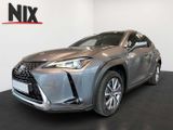 Lexus UX 300e Executive LED PDC KLIMA KAMERA - Lexus in Frankfurt (Main)