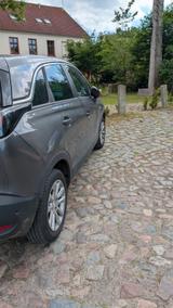 Opel Crossland (X) 1.5 Diesel 88kW Elegance Autom... - Opel Crossland (X) von privat