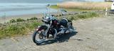 Harley-Davidson Chicano Springer  - HARLEY-DAVIDSON 1998
