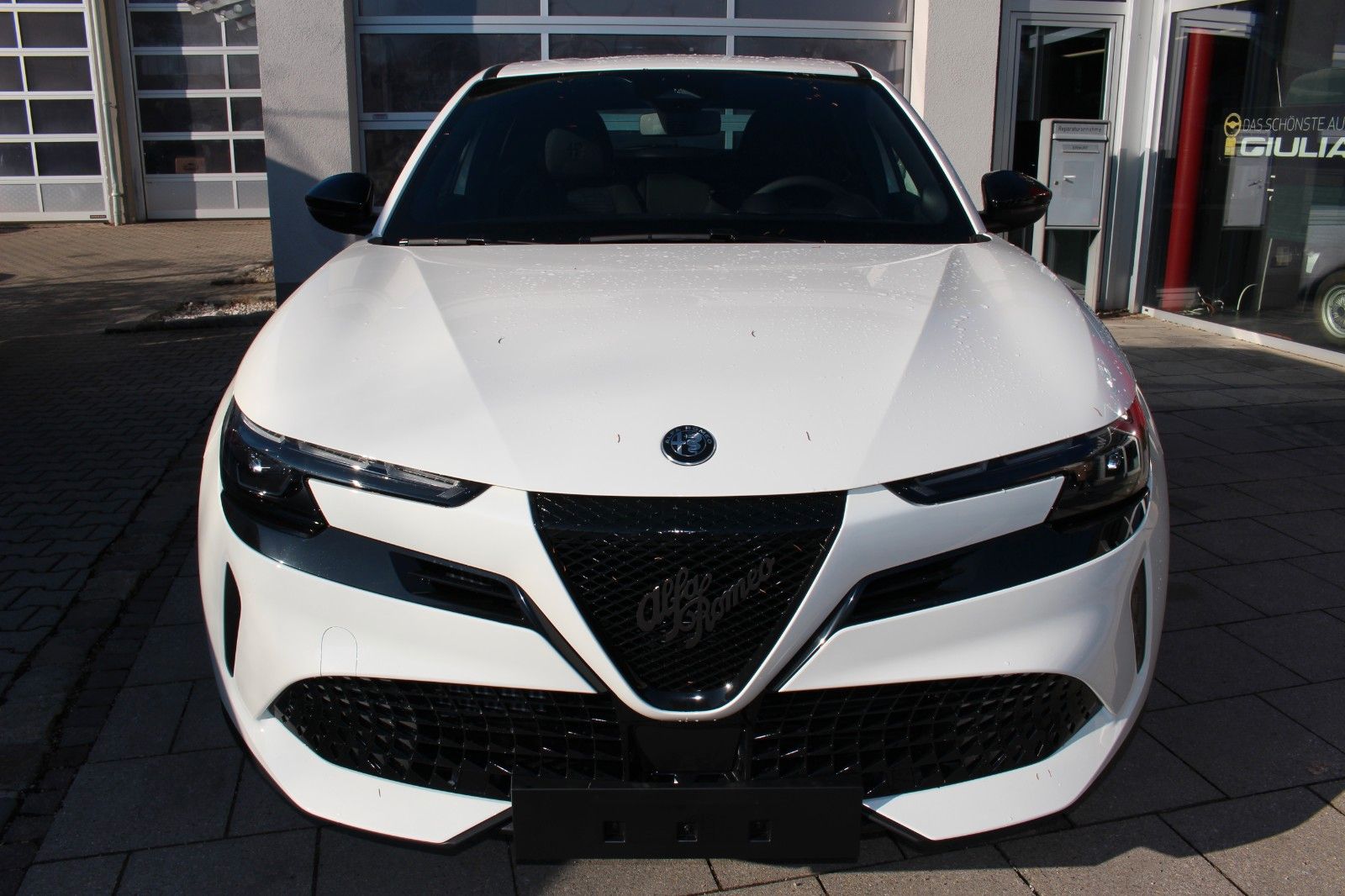 Alfa Romeo Junior - Bild 7