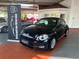 Volkswagen Beetle Lim. Design* 2. Hand/ TOP / Garantie * - : Kleinwagen, Top