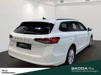 Skoda Superb - Vorschau Bild 5