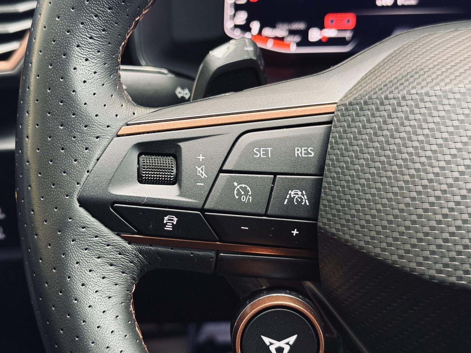 Cupra Formentor VZ 4Drive 360* BEATS ACC DCC NAVI SHZ+, миниатюра 22
