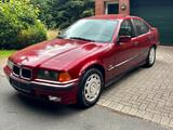 BMW E36 316i - 1.Hand - TÜV - Youngtimer - BMW 316: E36 316i