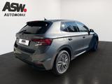 Skoda Fabia Tour 1,0 TSI 95PS 16" SHZ Kamera PDC LED - graue Skoda Fabia