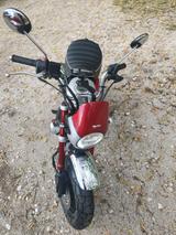 Honda Monkey 125 - Rot / 2022 - HONDA MONKEY