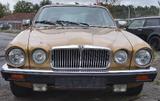 Jaguar XJ12 Serie III (1982)  V12  ehrli... - Jaguar XJ12 von privat