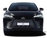 Lexus NX350h  Executive Line * Leder * Head-Up-Display - Lexus NX-Serie in Berlin