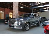 Hyundai Santa Fe Palisade AWD Ultimate 360° Leder Pano - Hyundai SANTA FE in Düsseldorf
