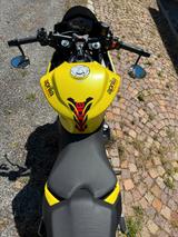 Aprilia Tuono 660 - APRILIA TUONO 660