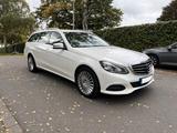 Mercedes-Benz E 250 BlueTEC 4MATIC T Autom. ELEGANCE - Mercedes-Benz E 250 in Bonn