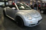 Volkswagen Beetle Cabriolet 1.4 - Klima - - Volkswagen Beetle aus 2007: Cabrio