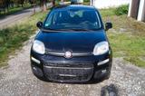 Fiat Panda Lounge aus 1 Hand - gebrauchte Fiat Panda aus dem Jahr 2019