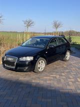 Audi A3 8P 1.9 TDI - Audi A3 aus 2006: 1.9