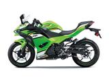 Kawasaki Ninja 500 SE Performance 