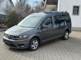 Volkswagen Caddy Maxi XTRA 2,0 DSG 7 SITZER NAVI - Volkswagen Caddy: Xtra