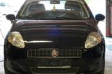 Fiat Punto Evo 1.2 8V Active*Klima* - gebrauchte Fiat Punto Evo aus dem Jahr 2009